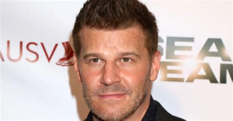 David Boreanaz philanthropy