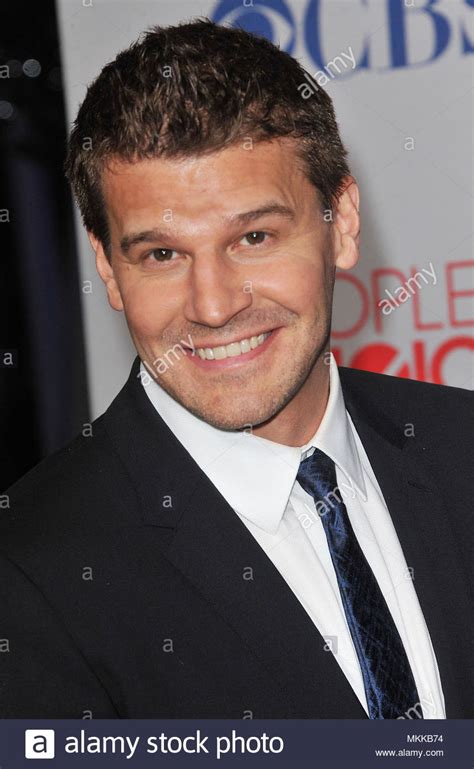 David Boreanaz on the red carpet