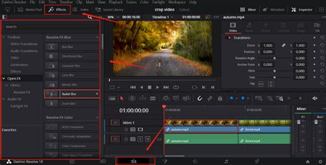 Davinci Resolve Effects