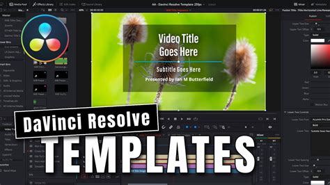 Example of DaVinci Resolve Template