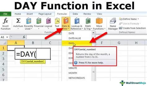 DAY Function in Excel