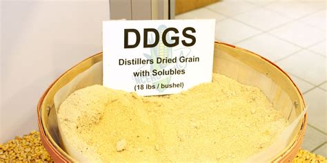 DDGS co-products