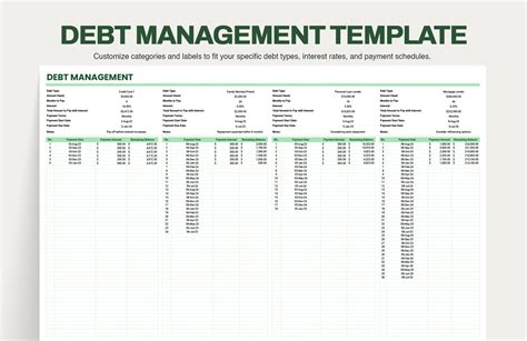 Debt Management Plan Template