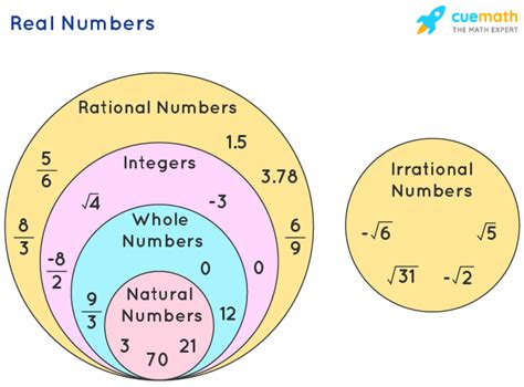 Decimals and Whole Numbers Real-World Examples Photos