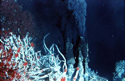 Hydrothermal vents supporting unique ecosystems