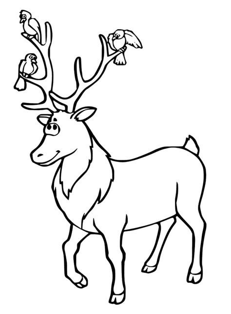 Deer and Birds Coloring Page