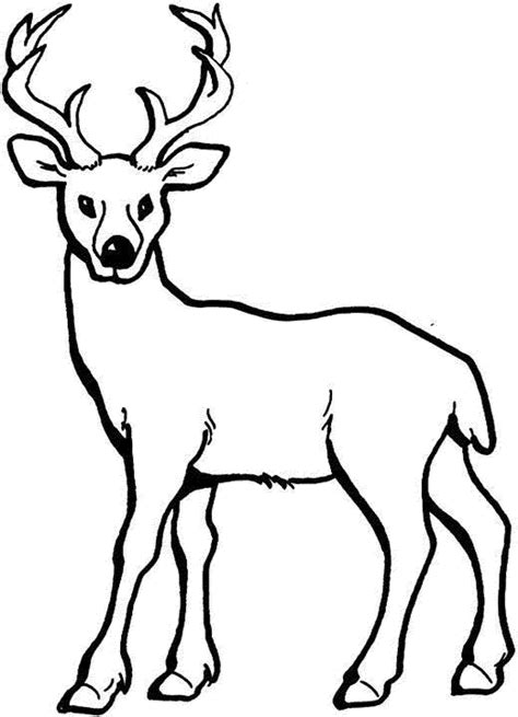 Deer coloring page with cute deer