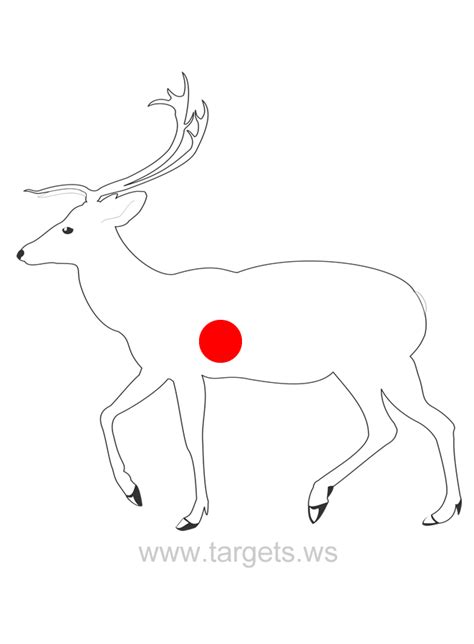 Realistic deer target template