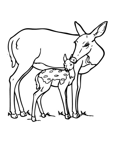 Deer with Fawn Coloring Page