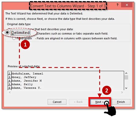 Delimiter Options