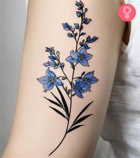 Delphinium tattoo ideas