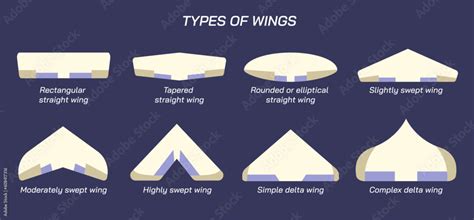 Delta Wing Template