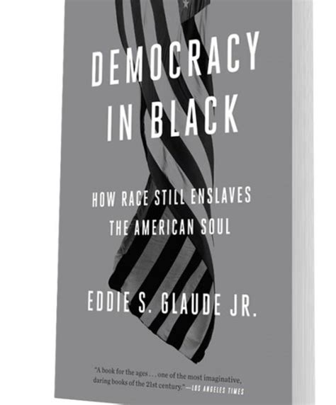 Democracy in Black book cover