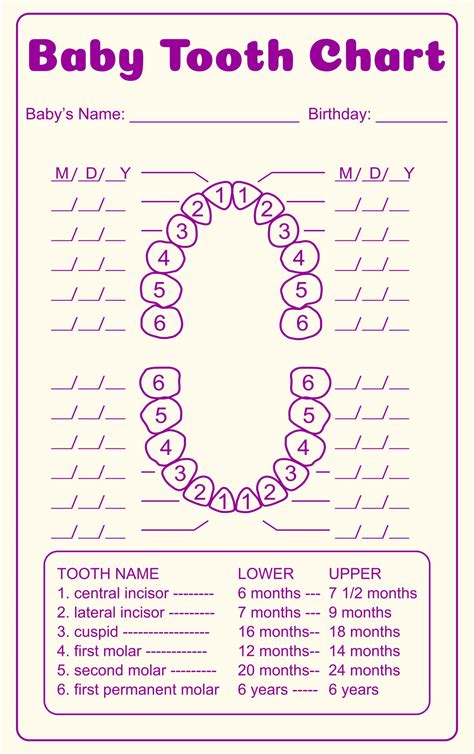 A template for recording dental charting information.