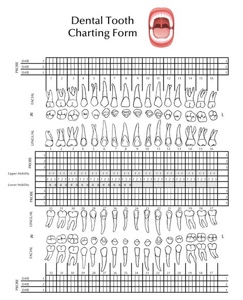 Orthodontic Treatment Template