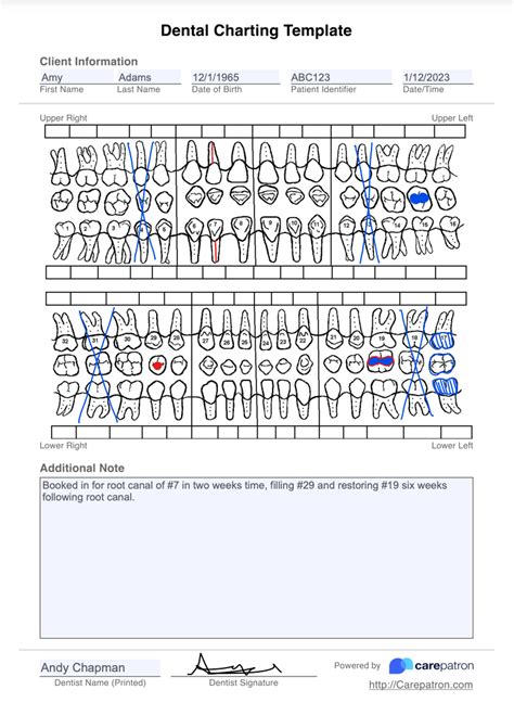 Dental Procedure Template