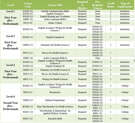 Dep program study plan