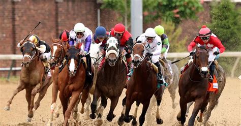 Kentucky Derby pre-race statistics chart