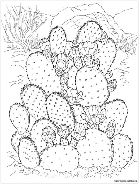 Desert cactus coloring page