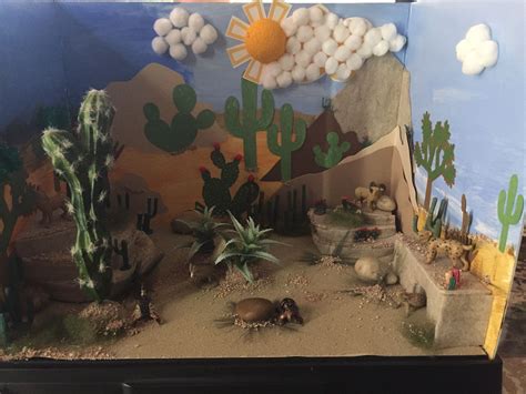 Desert Landscape Diorama Background