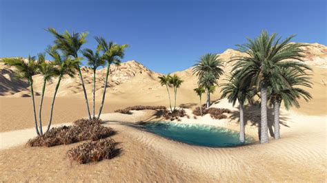 Desert Oasis Pet Rock Box Template