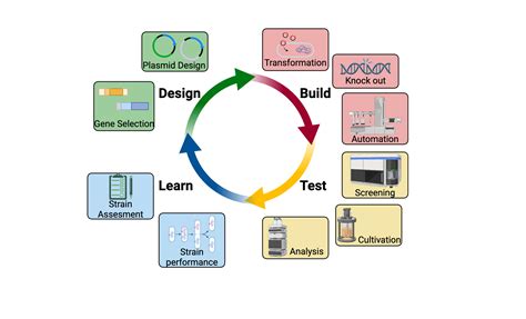 Design and Build Testing