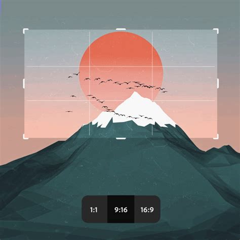 Design Your Vertical Video with After Effects Templates