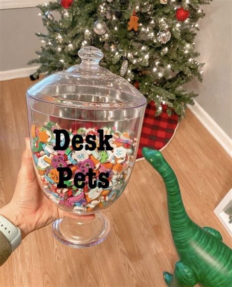 Desk Pet Ideas