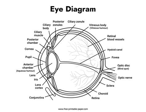 Detailed diagrams