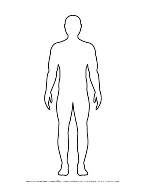 Detailed Human Body Outline Printable Template