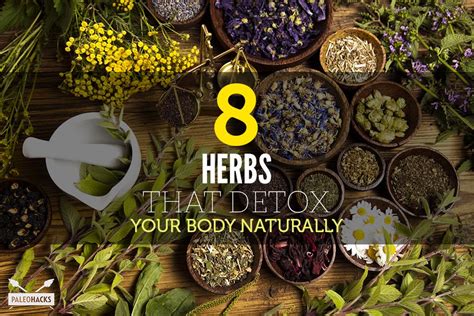 Detox Faster Naturally with Herbal Remedies