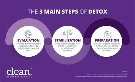 Understanding the Detox Process