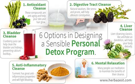 Types of Detox Programs