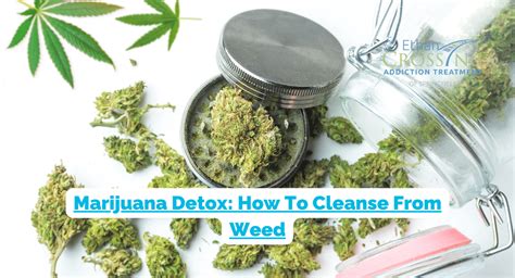 detox weed importance