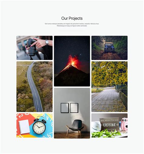 Developer Portfolio with Masonry Layout Template