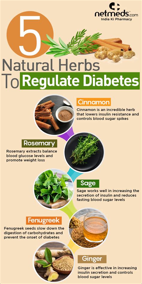 Herbs for Diabetes Management