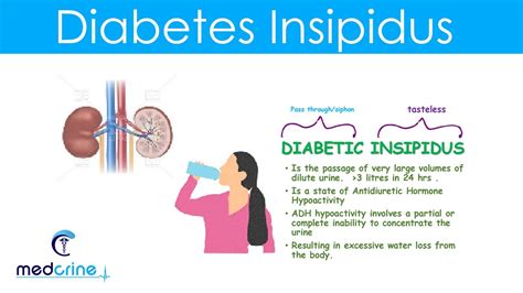 Diabetes Insipidus Diagnosis