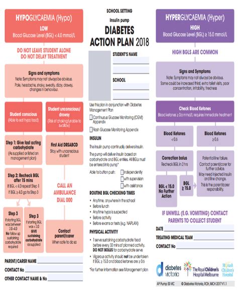 Diabetes Management Template