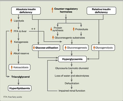 Monitoring blood sugar levels is crucial for managing DKA