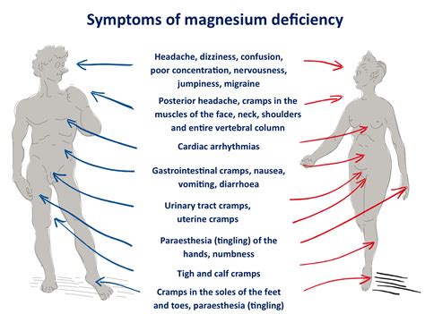 Diagnosing Magnesium Deficiency