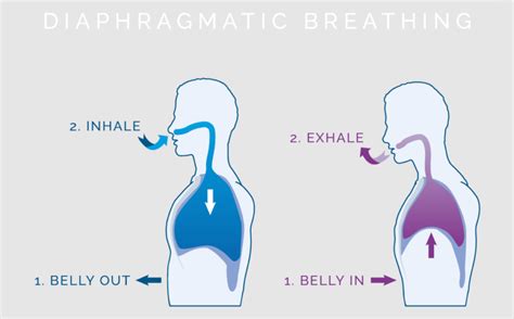 Diaphragmatic Breathing Exercise