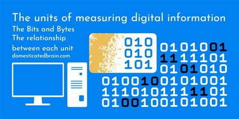 Digital Information Units