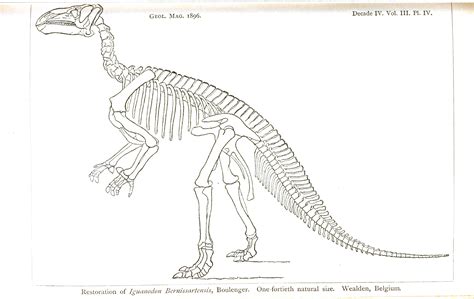 Dinosaur Bones Printable Template 7