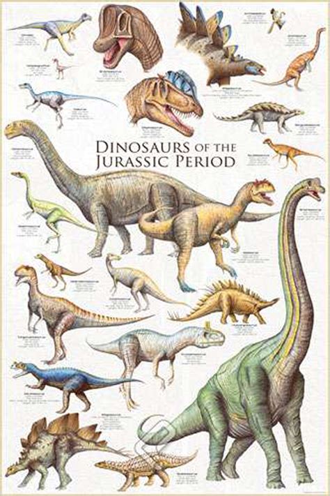 Diplodocus Poster