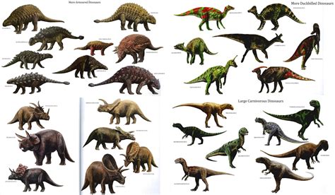 Dinosaur Types