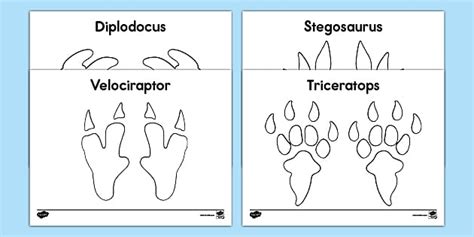 Diplodocus footprint template