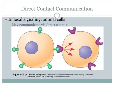 Direct contact and communication image