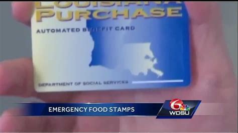 Disaster Food Stamps Application Process