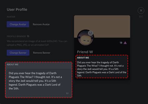 Discord About Me Section Ideas