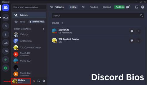 Discord Bios Example